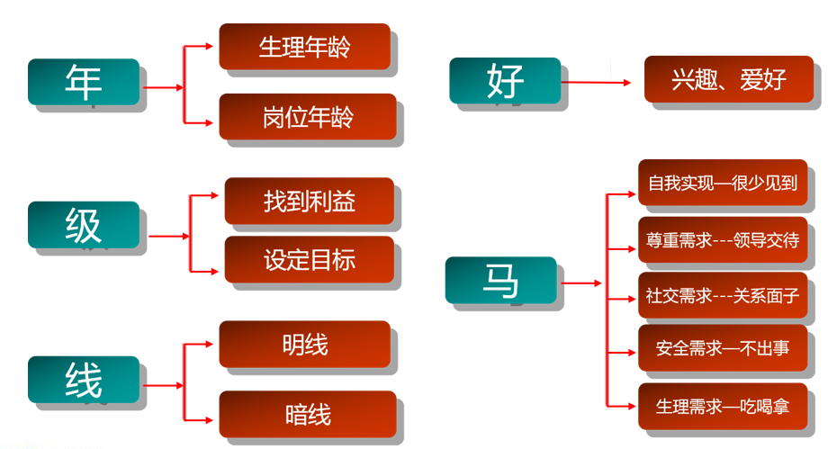 企业内训